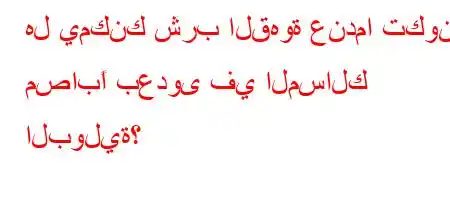 هل يمكنك شرب القهوة عندما تكون مصابًا بعدوى في المسالك البولية؟